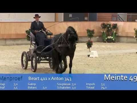 Meinte 490 Centraal Onderzoek 2015