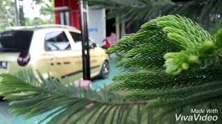 Download lagu SUMPAHH!! BIKIN BAPERR!! Yik huzein & fatim zein mp3