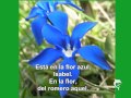 "Cancioncilla sevillana" por Federick García Lorca ...