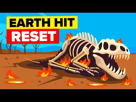 What REALLY Happened the Day Dinosaurs Went Extinct