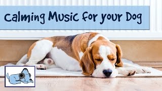 Calming Music for Dogs - Improve Dog Behavior with Relaxing Music
