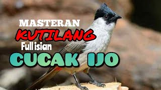Download lagu MASTERAN KUTILANG GACOR || FULL ISIAN CUCAK IJO || KUTILANG MEWAH mp3 Download lagu MASTERAN KUTILANG GACOR || FULL ISIAN CUCAK IJO || KUTILANG MEWAH mp3