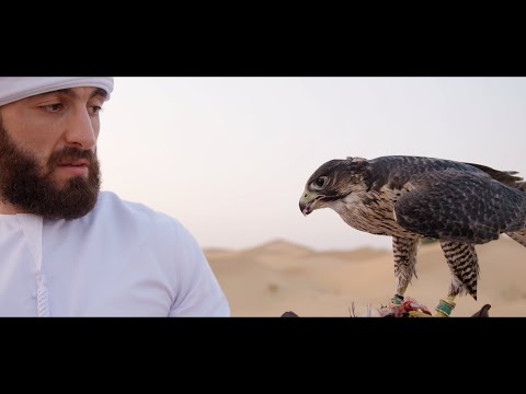 UFC’s First Emirati Fighter: A Day in the Life of Mohammad Yahya | Episode 1