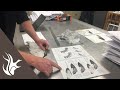 A Field Guide For Ageing And Sexing Victorian Native Game Birds