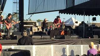 Lucinda Williams - Pineola [LIVE]