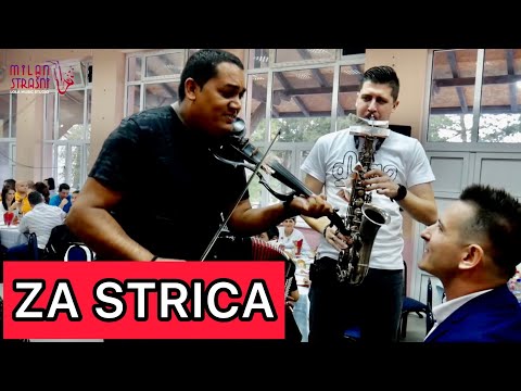 LAVOVI ZASVIRALI ZA STRICA / Lavovi / Mica  Djilas / Milan Strasni (Veliko Krcmare)