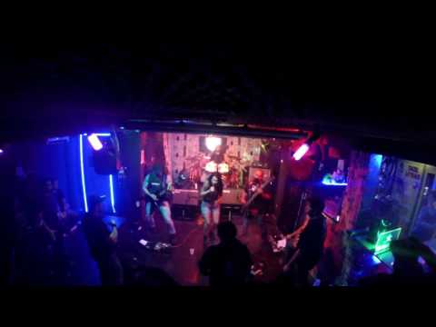 Malism - Hylidae (Live Studio Beer)