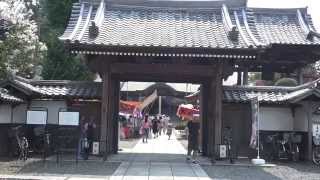 preview picture of video '[HD]龍燈山永福寺　どじょう施餓鬼'