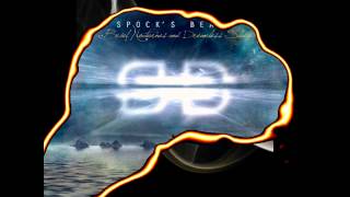 Spock´s Beard - Something very strange