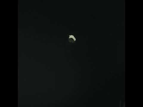 YouTube 썸네일