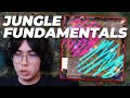 Jungle Fundamentals EVERYONE Needs To Know LoL Coaching