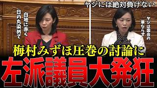【国旗損壊罪】「日本人はもう我慢しません」参政党・梅村みずほが荒れ狂う反対派を一刀両断…感動の入党会見と維新時代から貫く信念