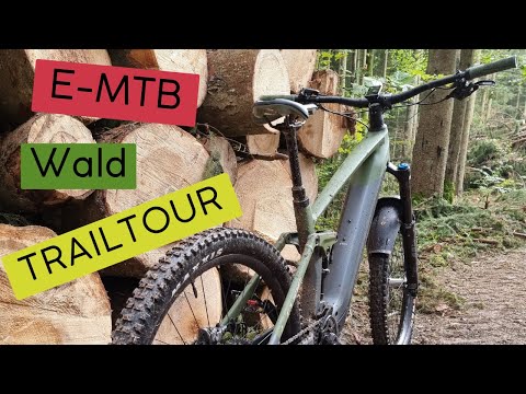 Kleine Runde im Wald 🌳 Trails ⛰️ Matsch 🤪 #Cube Stereo Hybrid 160 TM 2022 🤩