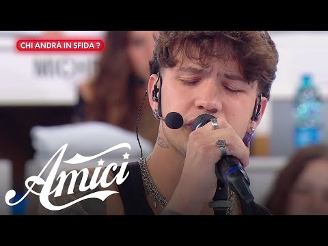 Amici 25 - Opi - Fragole buone buone