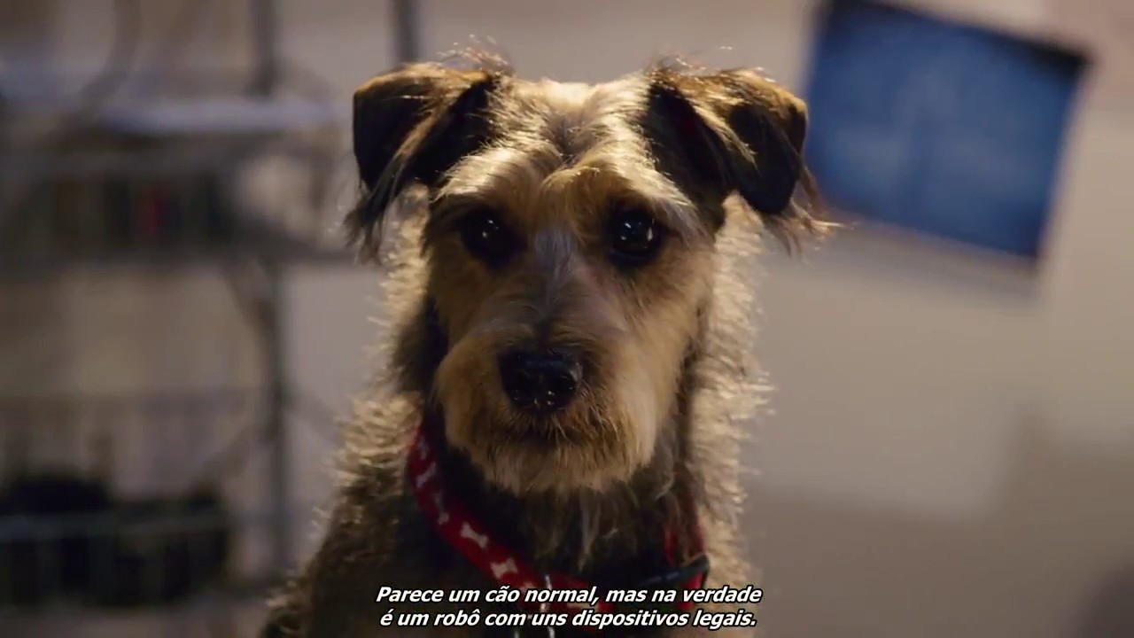 Trailer oficial de Meu Cachorro é um Robô