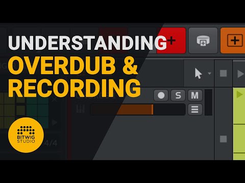 How to use the overdub and recording features on Bitwig tutorial