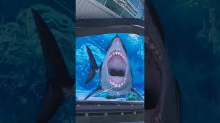 3D Shark at the cruise port in Nassau, Bahamas #nassau #nassaubahamas #cruise #bahamas #shark
