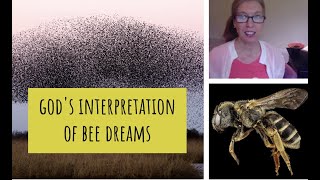 Dreaming of Bees, Beehive, Swarms, Sting - Your Biblical Interpretation