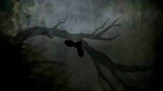 Edward Ka-Spel - Good Life