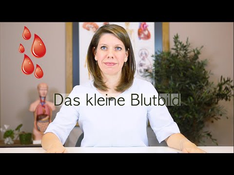 Das kleine Blutbild: Alle Werte verständlich erklärt