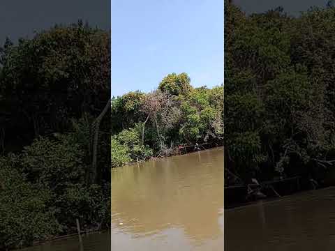 ART'S DA NÔ mostrando o rio taquari COXIM MATO GROSSO DO SUL 