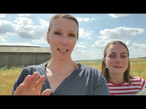 Pourquoi semer tôt les pois de printemps