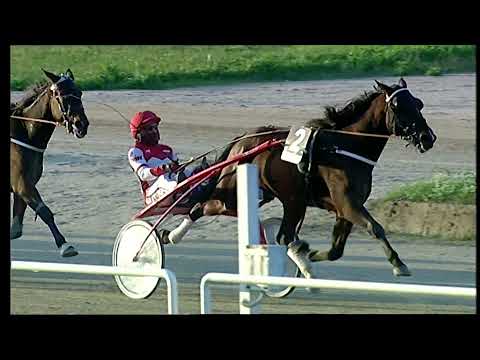 Napoli Trotto 7/11/2021 - 5ª corsa