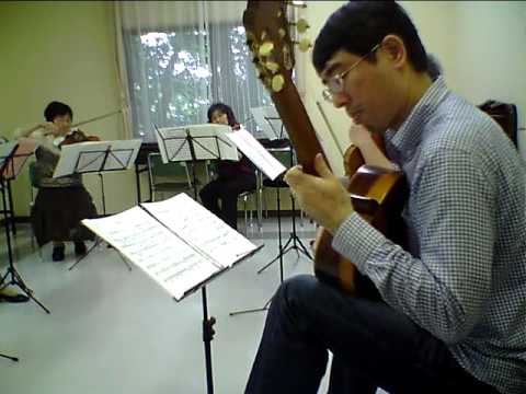 Ferdinando Carulli/Guitar Concerto A Major