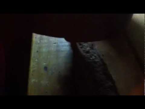 Lil Britt - Rite Ni Remix Ft Wood Offical Video