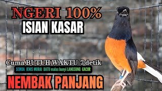 Download lagu PANCINGAN murai Batu FIGHTER NEMBAK ISIAN GANAS !! Jadikan semua murai mental drop LANGSUNG FIGHTER mp3