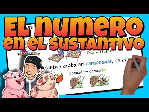 ✅ El NÚMERO en los SUSTANTIVOS: SINGULAR y PLURAL