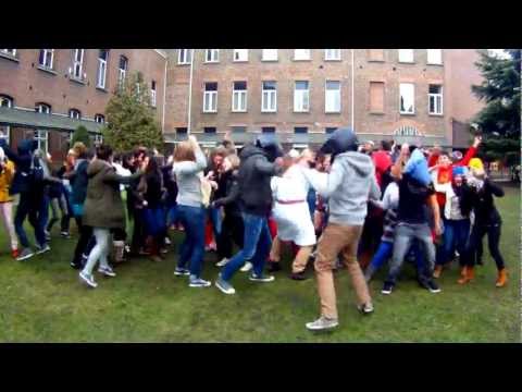 Harlem Shake IVV Sint-Vincentius Gent