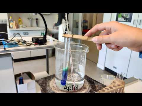 Nachweis von Zucker mit Fehling I und II