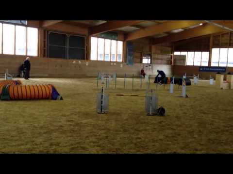 Maik mit Chili Turnier Coesfeld Jumping