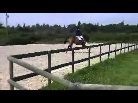 Roman Gladiator dressage 04/09/12