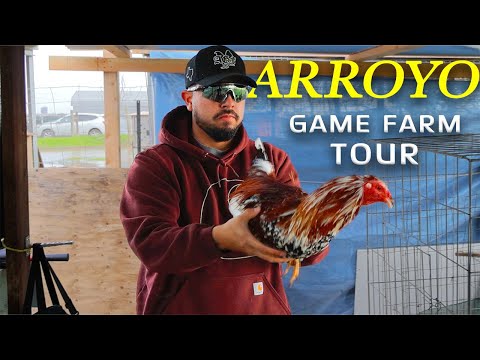 FARM VISIT: Arroyo Game Farm in California USA