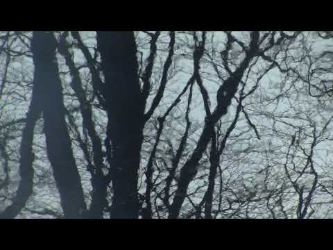 Kirsty Law - Lullaby For Troubled Times