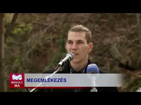Videó előnézet