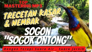 Download lagu MASTERAN SOGON NRECET NEMBAK JERNIH TERAPI SUARA AIR MUDAH MASUK MP3 #sogon #masteranburung mp3 Download lagu MASTERAN SOGON NRECET NEMBAK JERNIH TERAPI SUARA AIR MUDAH MASUK MP3 #sogon #masteranburung mp3