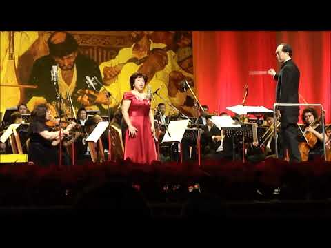 Dilbèr Yunus - Ürümchi Concert (دىلبەر يۇنۇس - ئۈرۈمچى كونسېرتى)