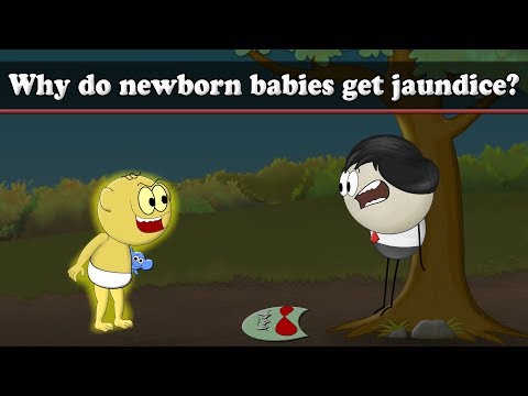 為什麼嬰兒會得黃疸？| 黃疸的原因是什麼？ (Why do babies get jaundice? | #aumsum)