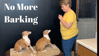 How To Stop Your Dog From Barking At The Door