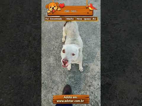Vídeo de não tem