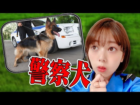 イヌについて詳しく解説