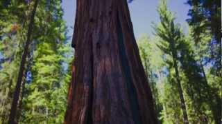 Callisto - Setisphere Part 2