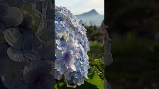 Download lagu Wonderful Indonesia #subhanallah #subhanallahalhamdulillah mp3 Download lagu Wonderful Indonesia #subhanallah #subhanallahalhamdulillah mp3