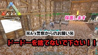 【社会人設定Ark】サバイバル6日目 ドードー大好きなりん　    はじめての大空