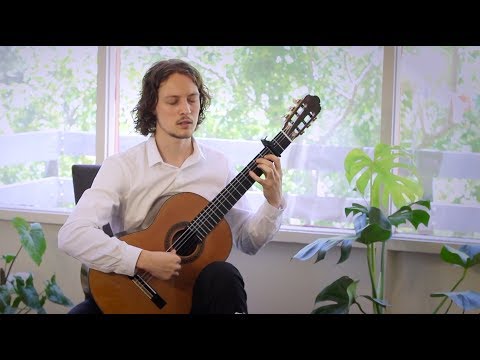 Dowland: Fantasia No. 7 played by Andrey Lebedev