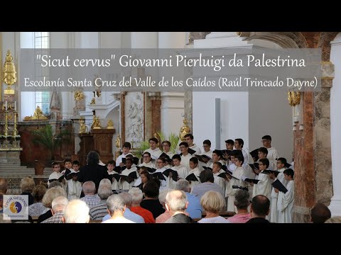 "Sicut cervus" G. P. da Palestrina | Escolanía Santa Cruz del Valle de los Caídos (Raúl T. Dayne)