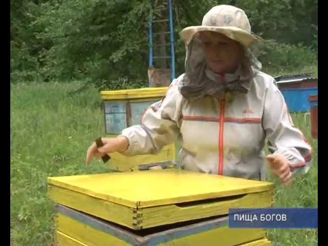 Медовый месяц. 